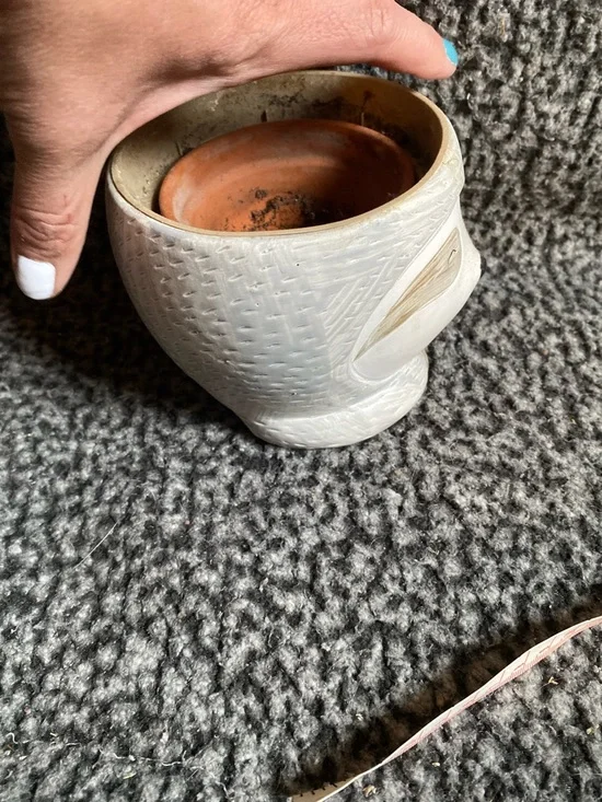 Neutral Sloth Ceramic Planter - Home Accents - Picture 11 of 11